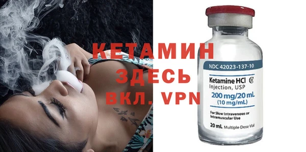 сатива Балахна