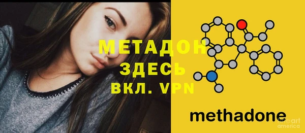 сатива Балахна