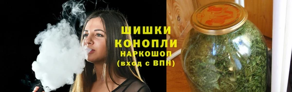 сатива Балахна