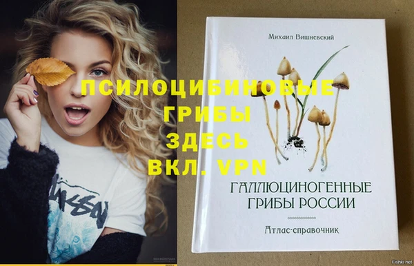 круглые Армянск
