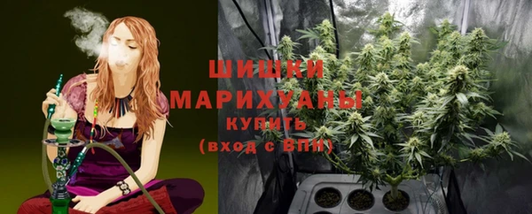 стаф Аркадак