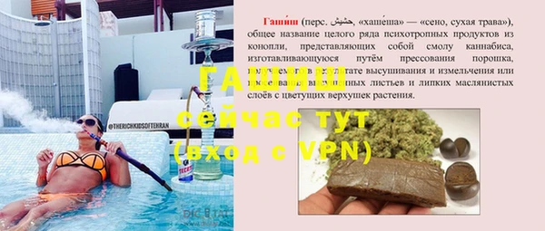 стаф Аркадак