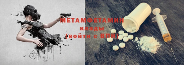 сатива Балахна