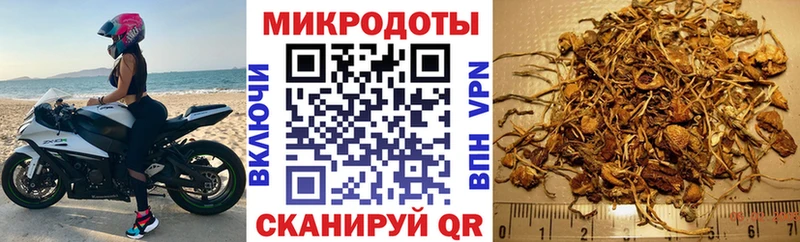 Псилоцибиновые грибы Psilocybine cubensis  купить  цена  Бирюсинск 