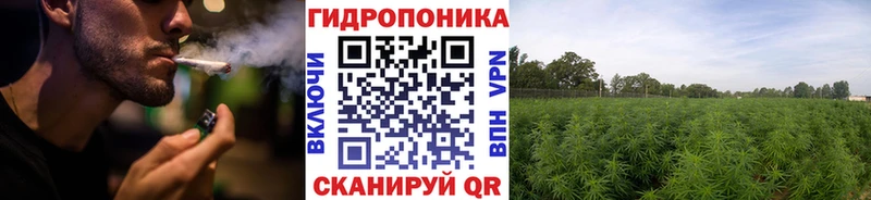 Бошки Шишки индика  MEGA   Бирюсинск 